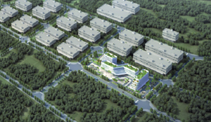 项目建设